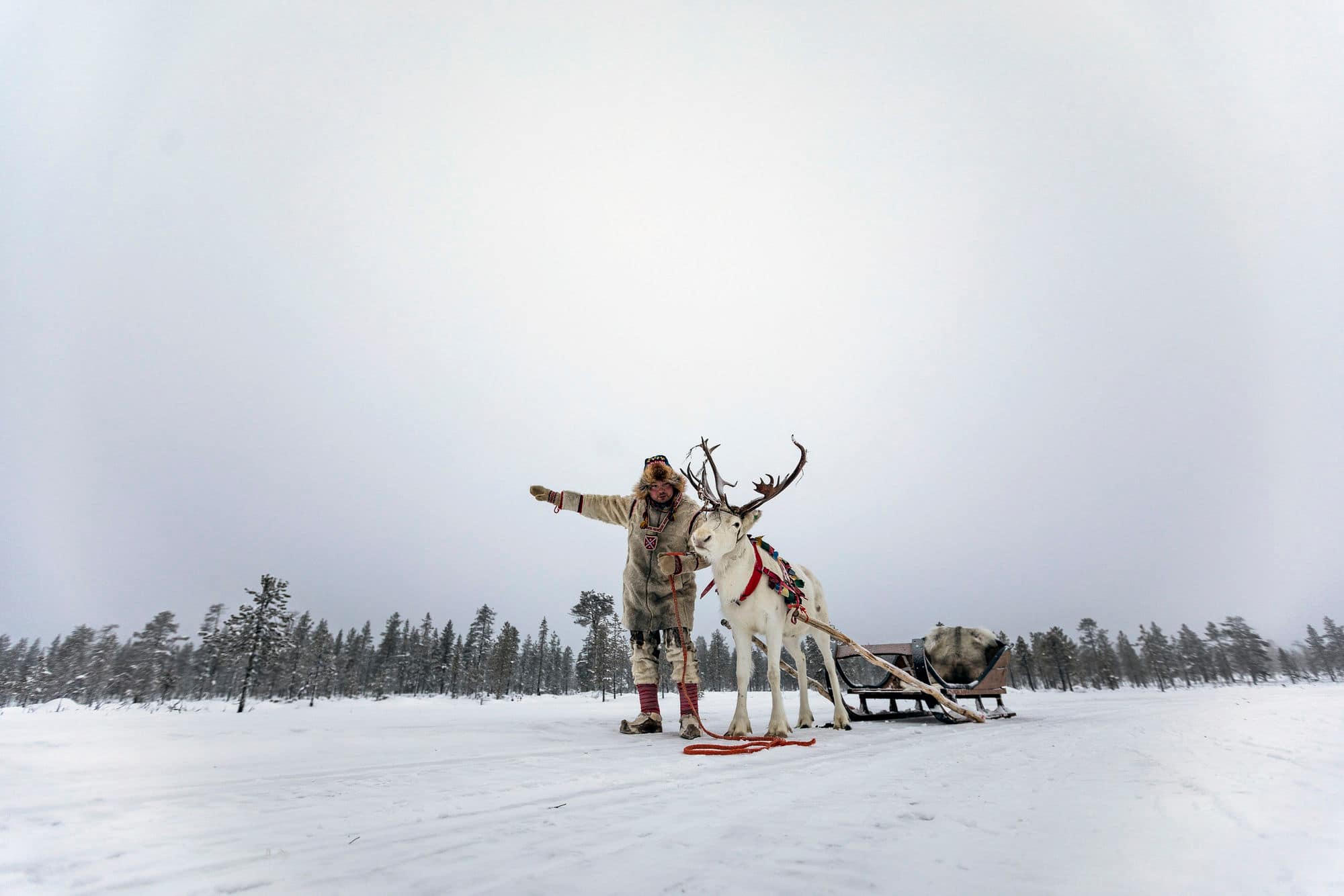 Person with a reindeer pulling a sled on a snowy plain, forest in background under cloudy sky.
