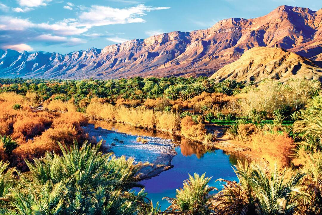 Morocco Holidays 2024 / 2025 | TUIHolidays.ie