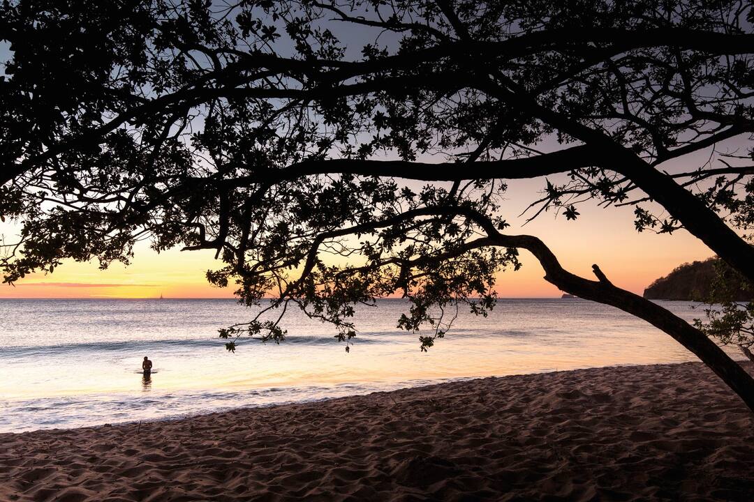Costa Rica Holidays 2024/2025 | TUI.co.uk