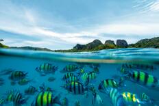 Phi Phi Island, Thailand