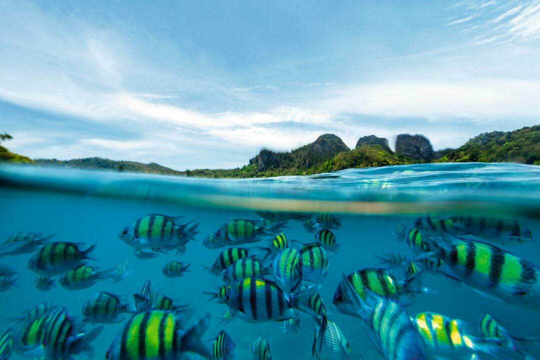 Phi Phi Island, Thailand