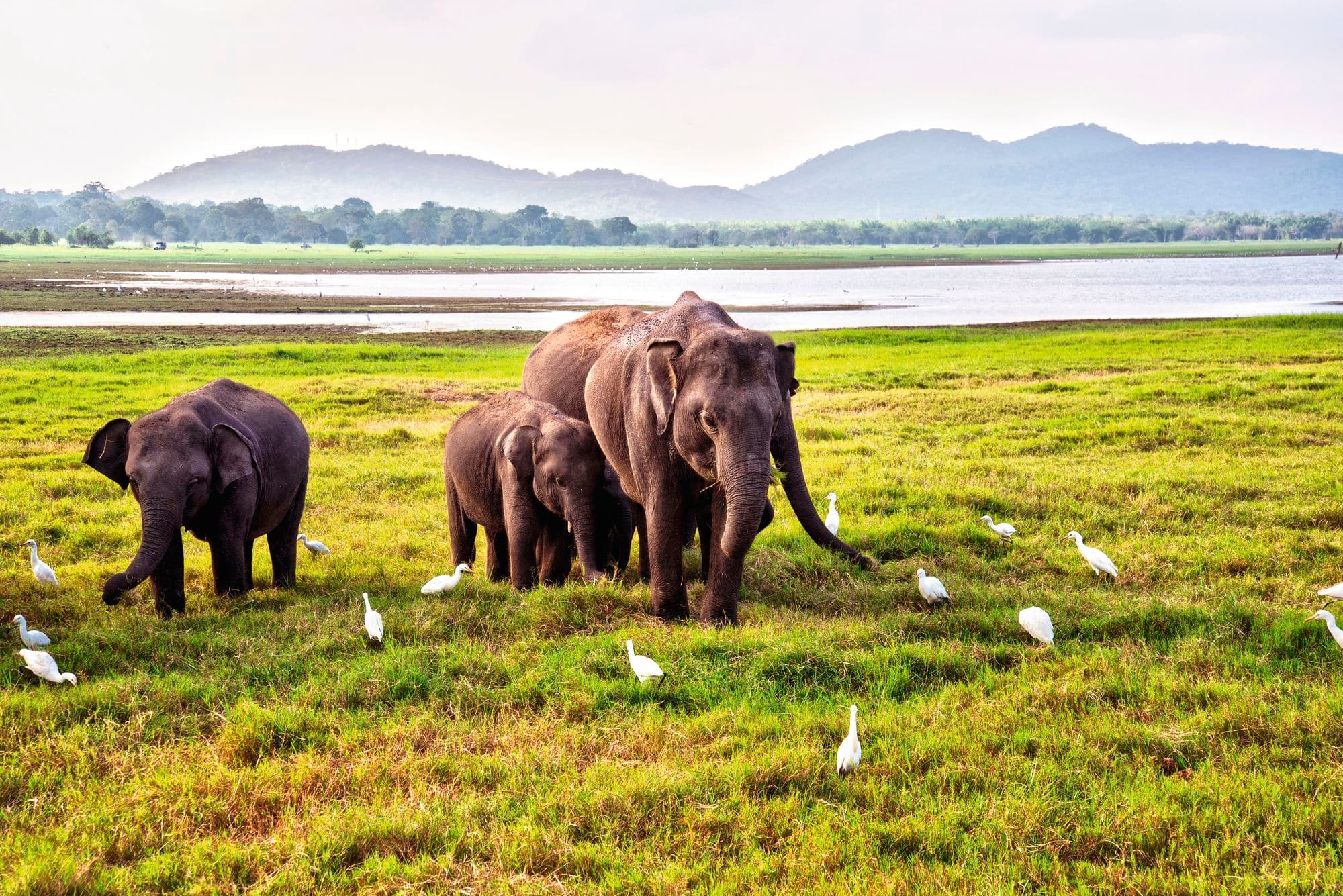 Sri Lanka