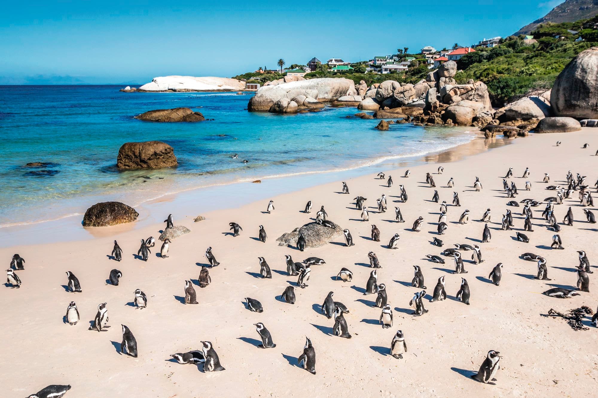 Cape Town