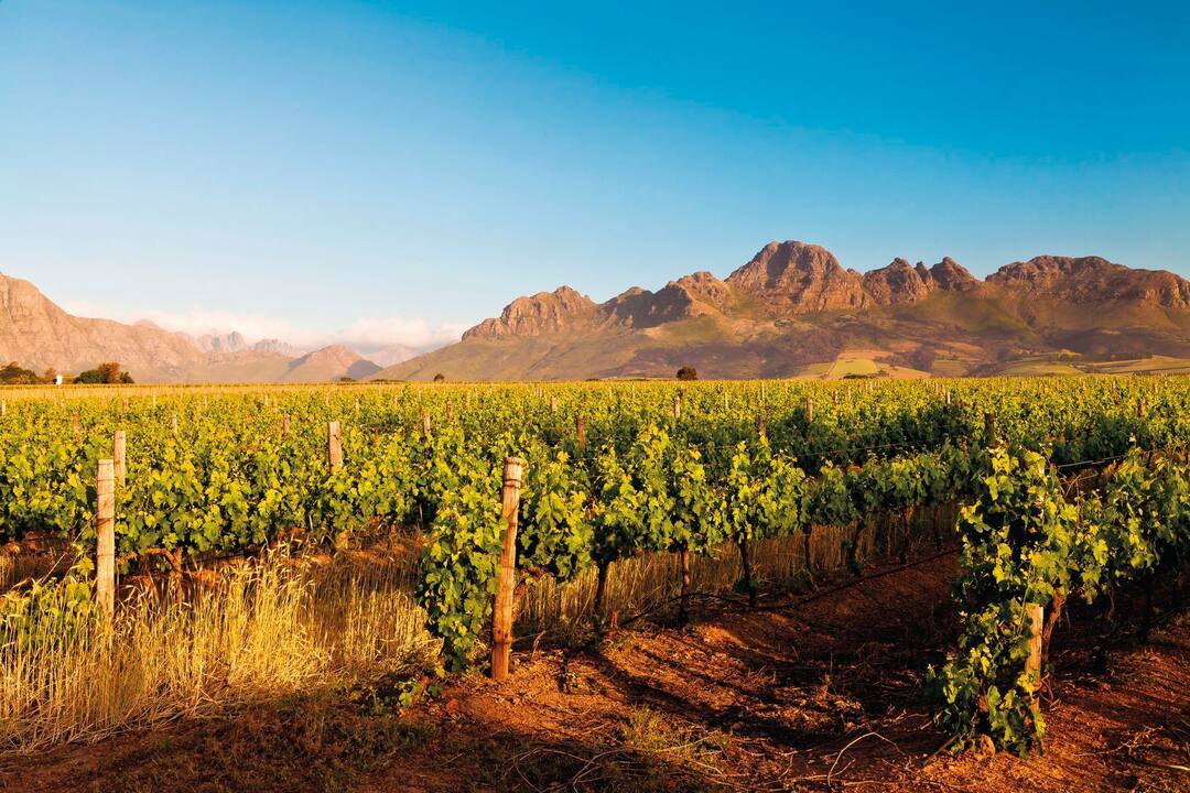 Stellenbosch, Cape Town, South Africa