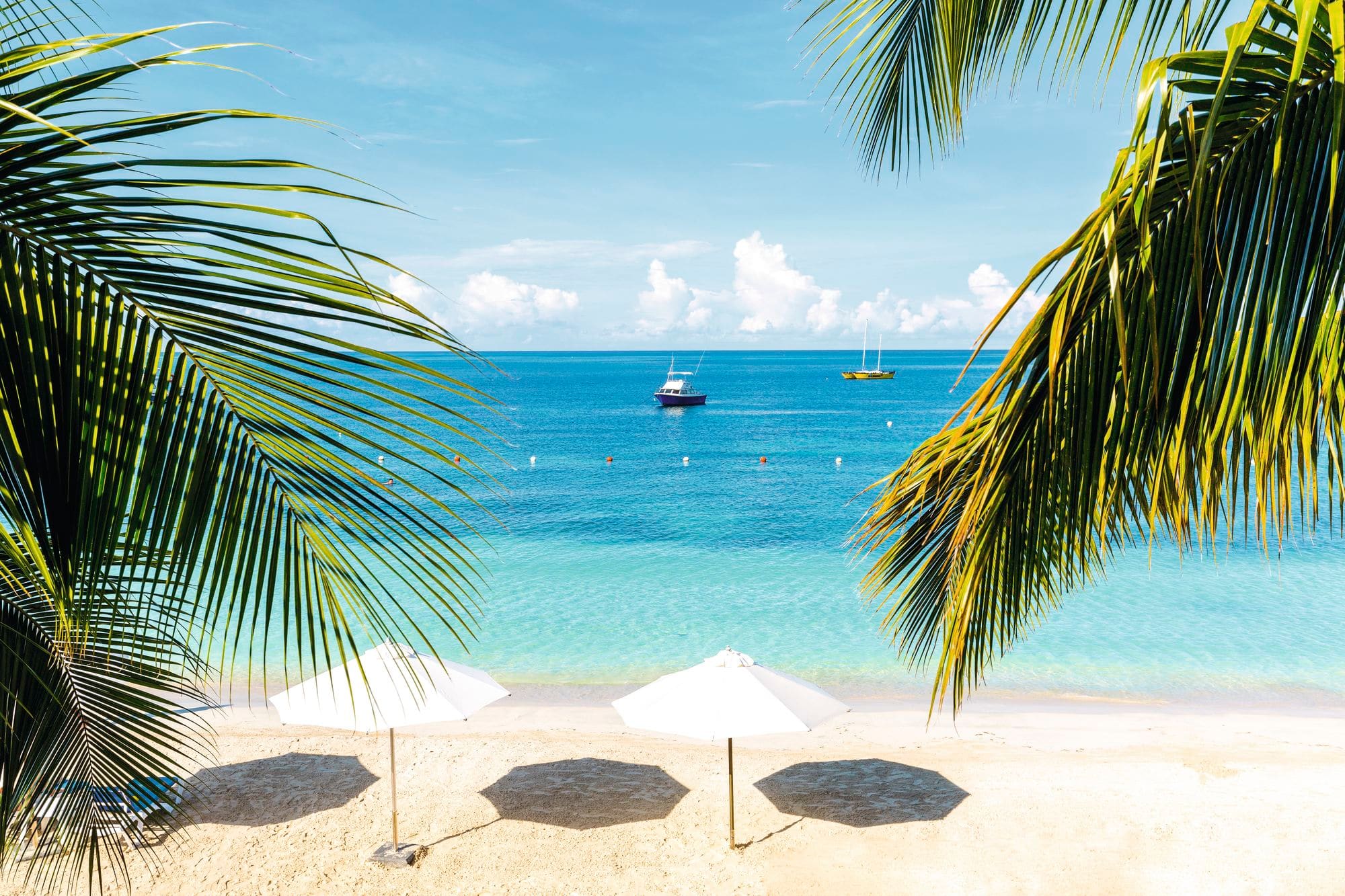 Overview of Jamaica