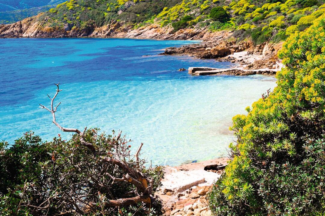 Asinara Island, Sardinia