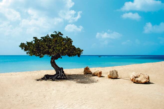 Druif Beach Holidays 2019 / 2020 TUI was Thomson