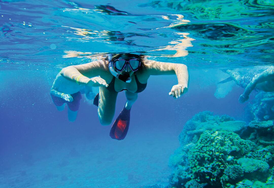 Snorkelling