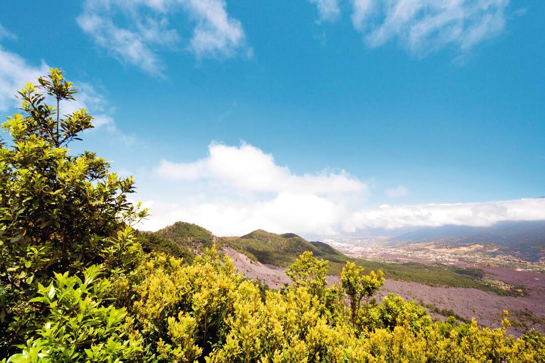Santa Cruz de La Palma, Spain