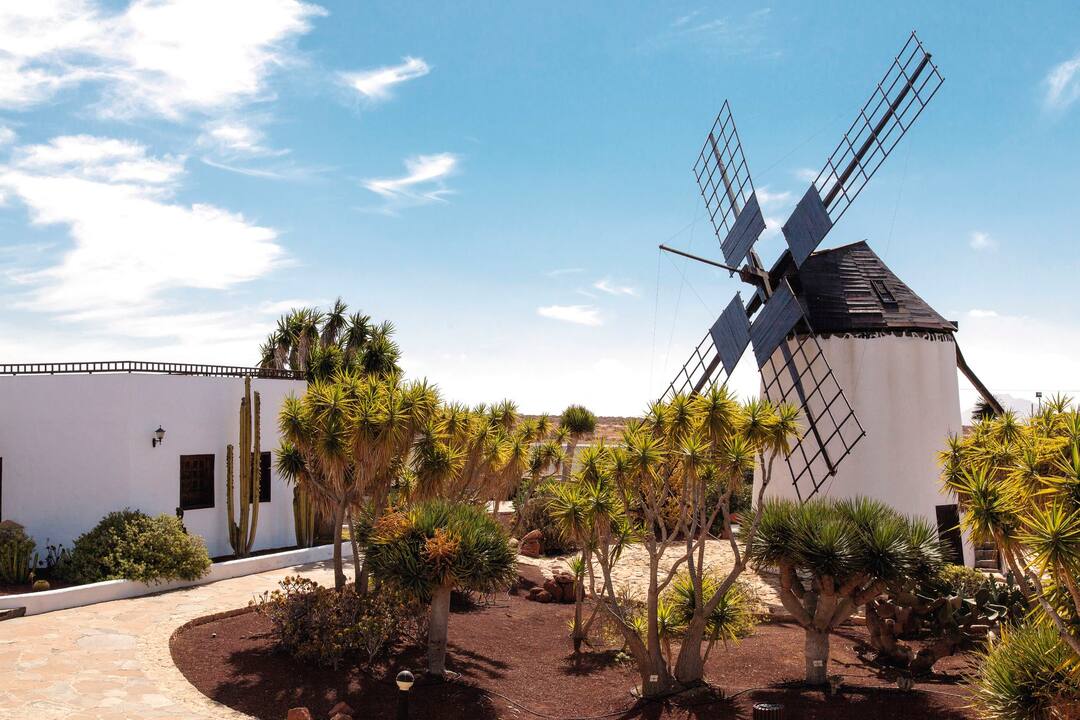 Canary Islands Holidays 2024/2025 | TUI.co.uk