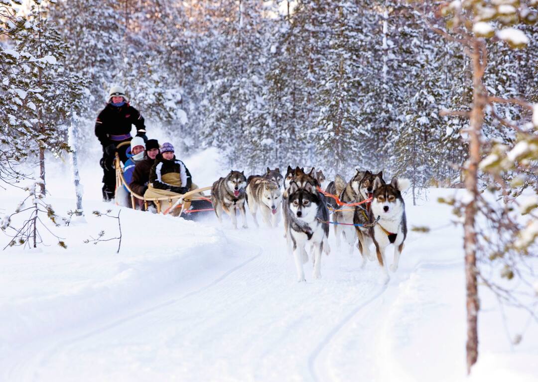 Copyright: Rovaniemi Tourism & Marketing Ltd