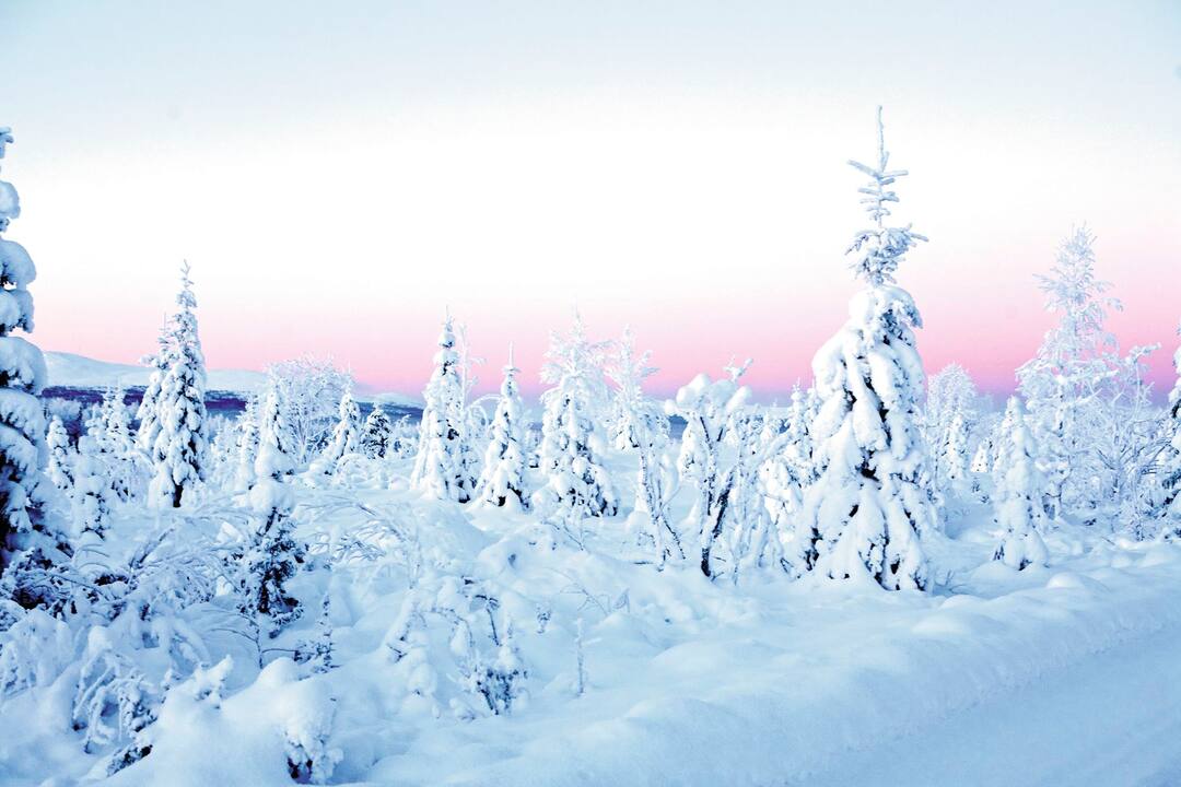 Yllas, Lapland