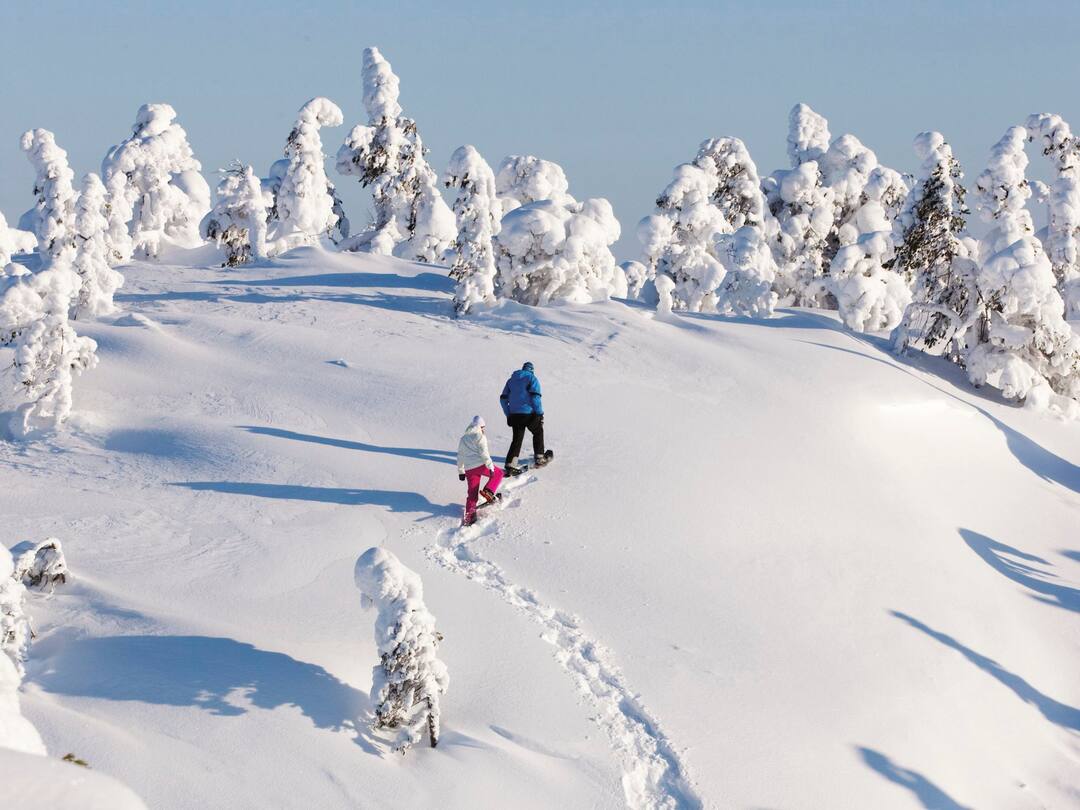 Snow walks, Lapland
