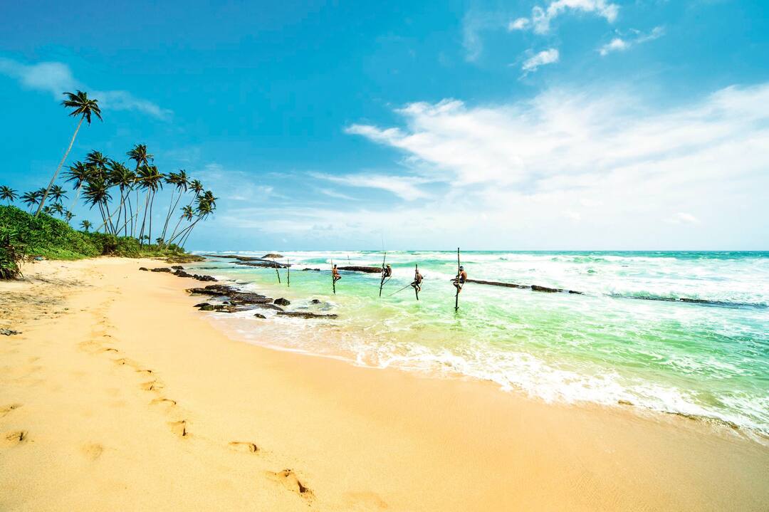 Sri Lanka Holidays 2025 / 2025  TUI.co.uk