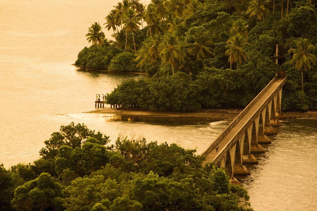 Bridge to Nowhere, Samana, Dominican Republic