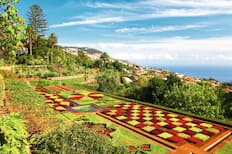 Botanical gardens, Funchal, Madeira