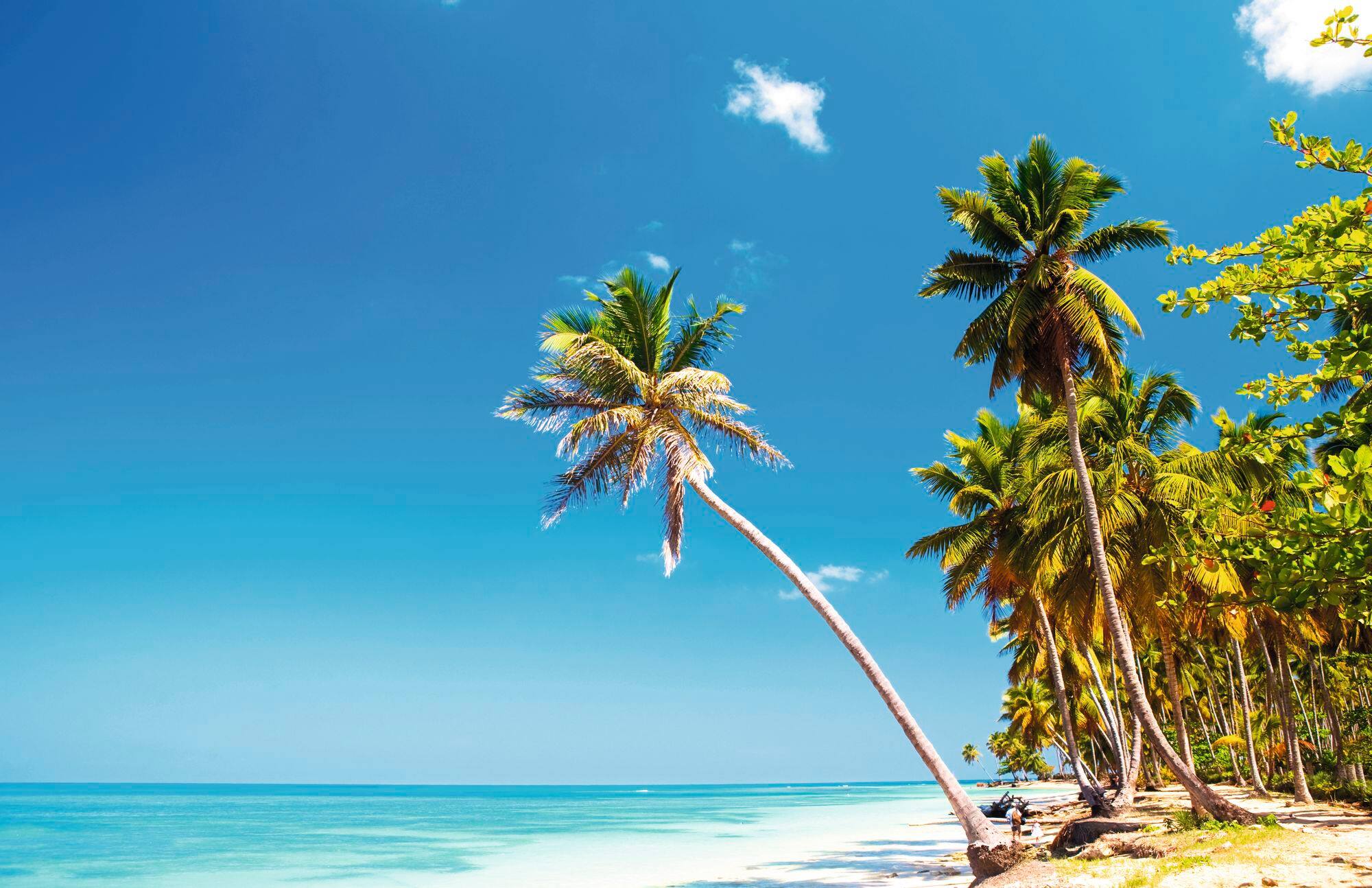 Cruises To Samana 2025 2026 Marella Cruises TUI Co Uk LIB SHU 12 