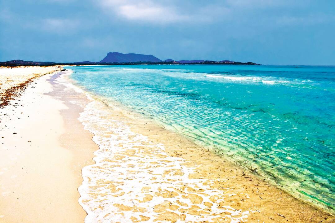 La Cinta, Sardinia