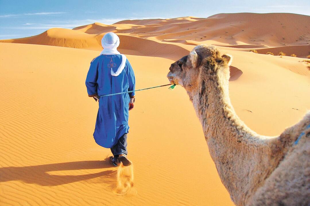 Morocco Holidays 2024 / 2025 | TUI.co.uk