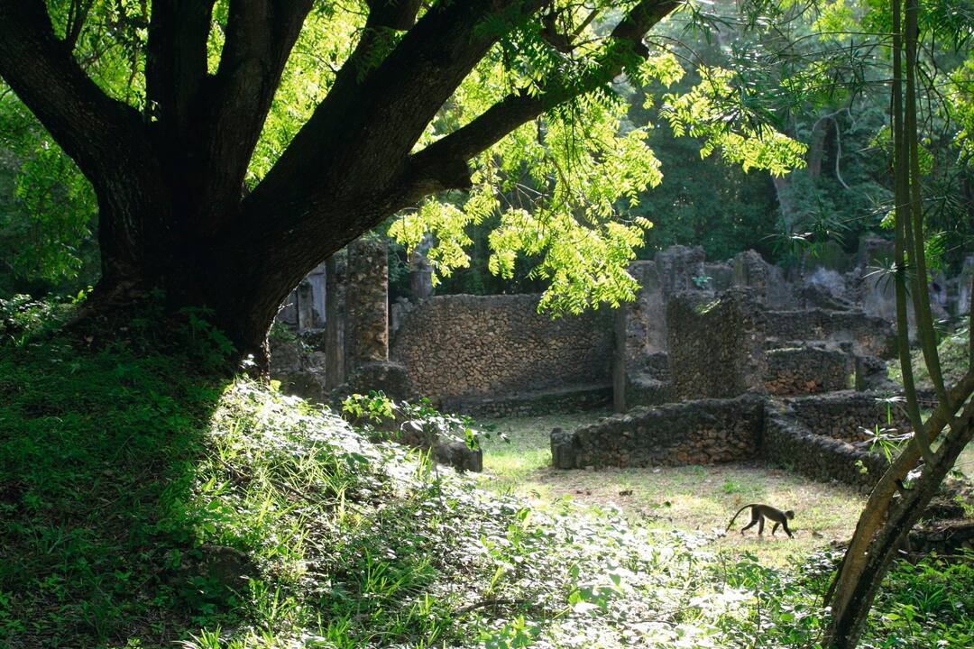 Gedi ruins, Kenya