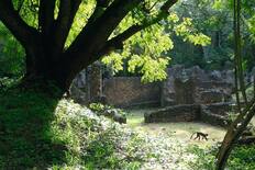 Gedi ruins, Kenya