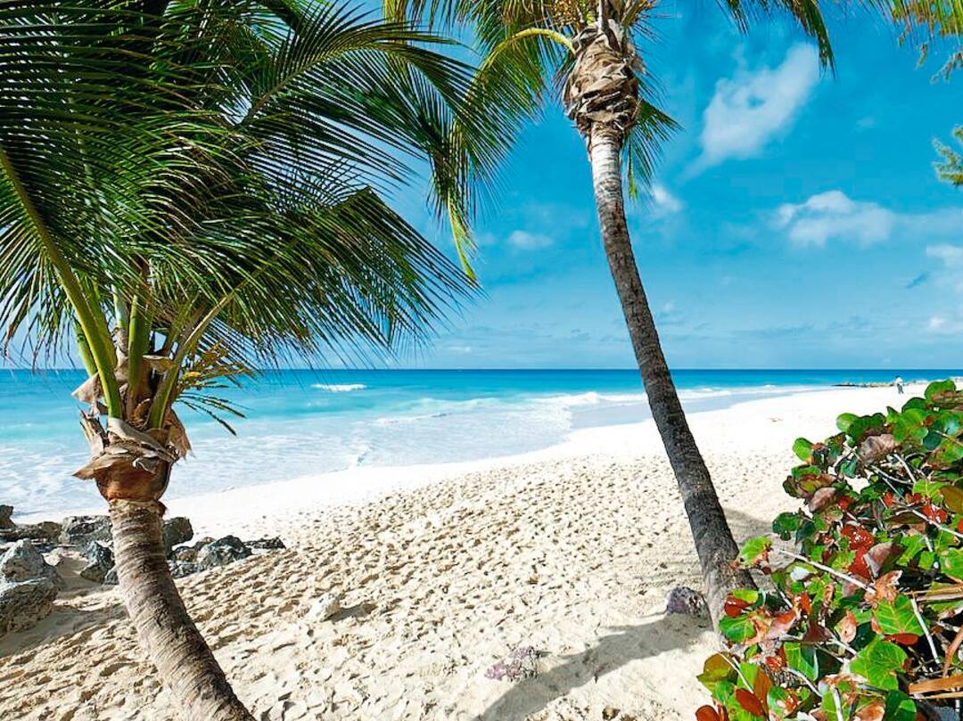 Turtle Beach Resort First Choice