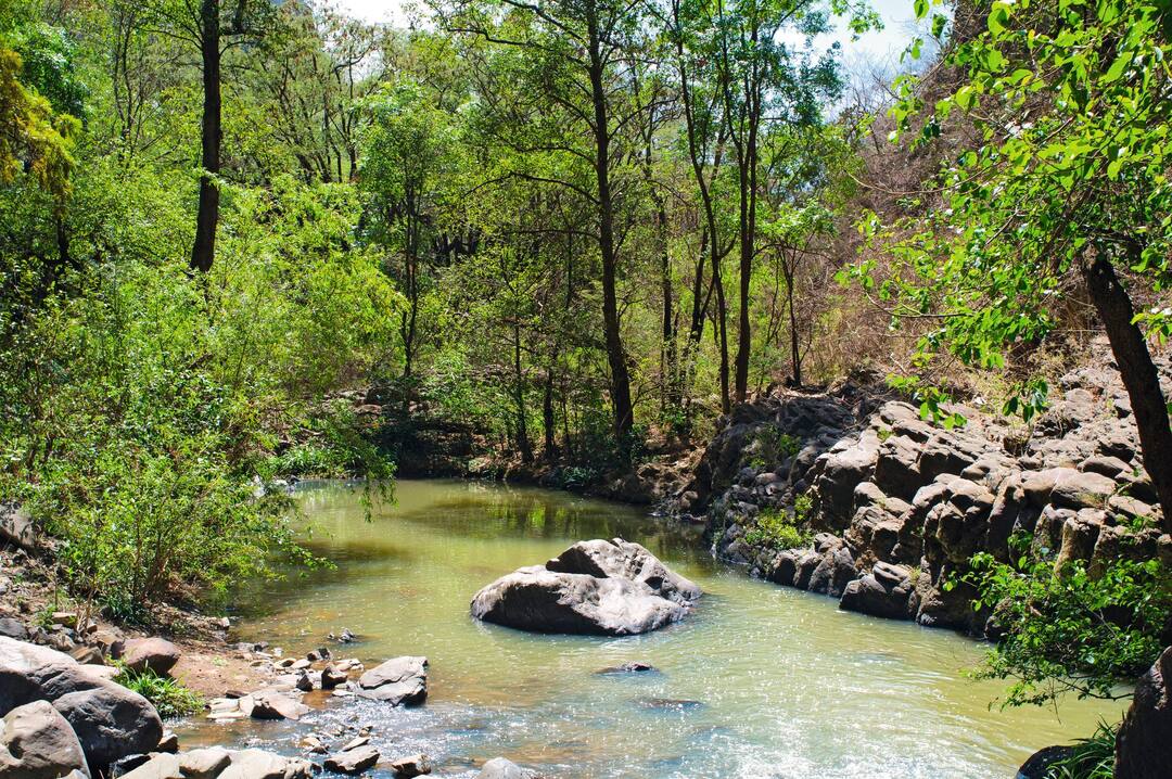 Sierra Madre Occidental mountains, Mexico