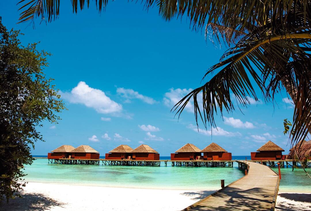 Best Longhaul Destinations to Jet Off to in August Discover TUI