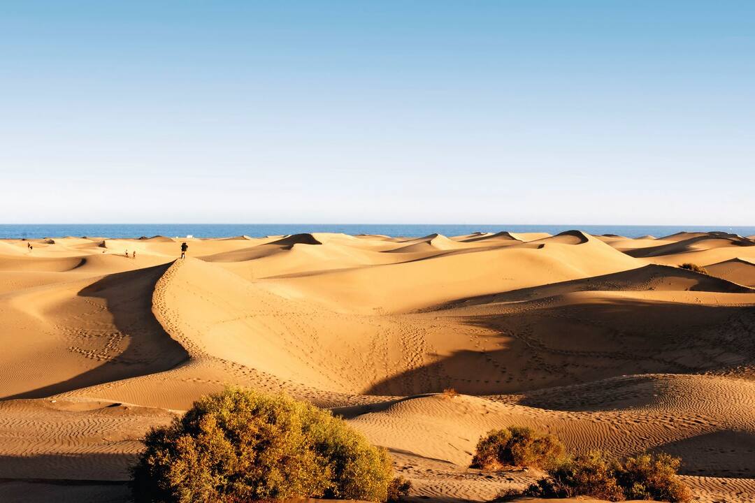 Maspalomas Dunes, Gran Canaria