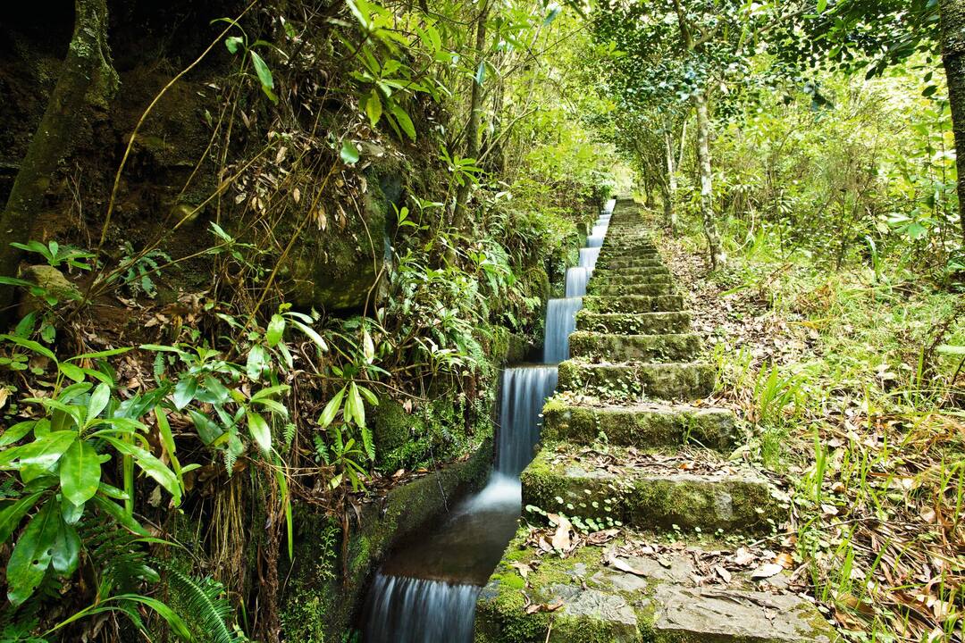 Parque do Santa de Serra levadas, Madeira
