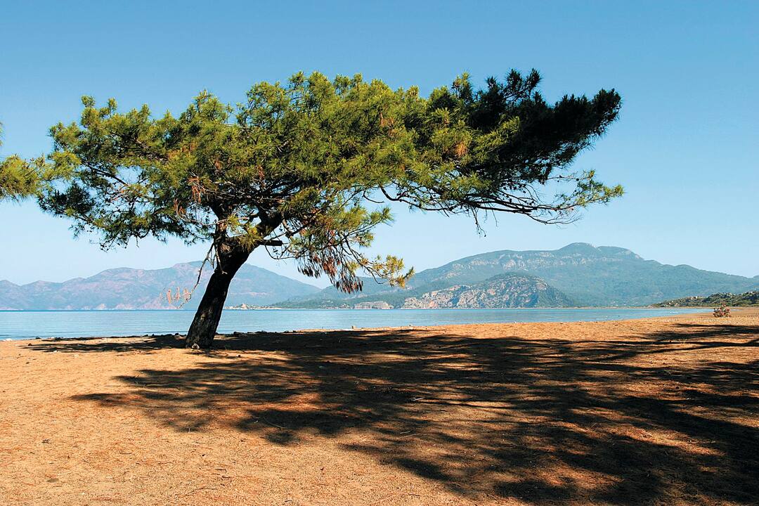 Dalyan, Turkey