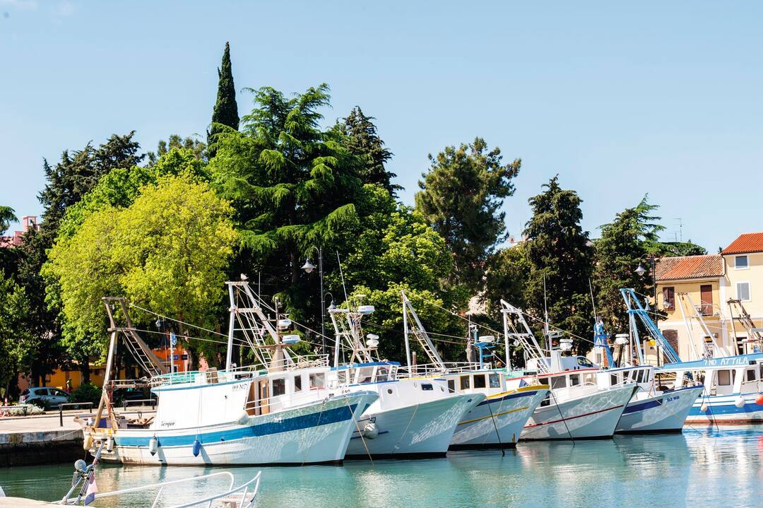 Novigrad, Croatia
