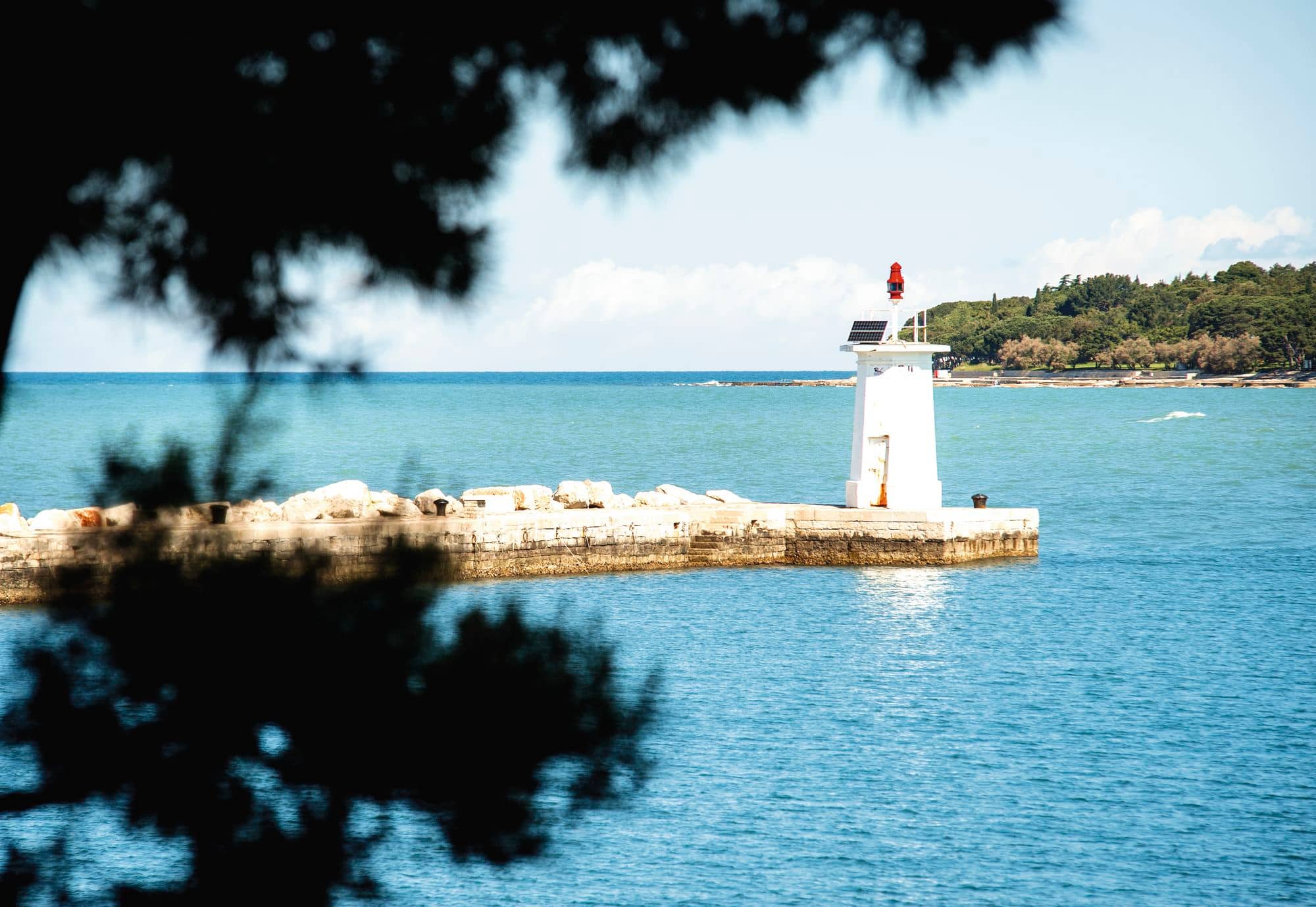 Novigrad