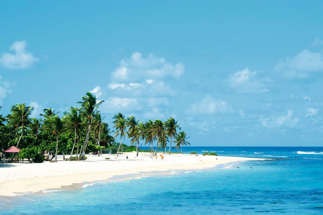 Caret Islet, Point-a-Pitre, Guadeloupe