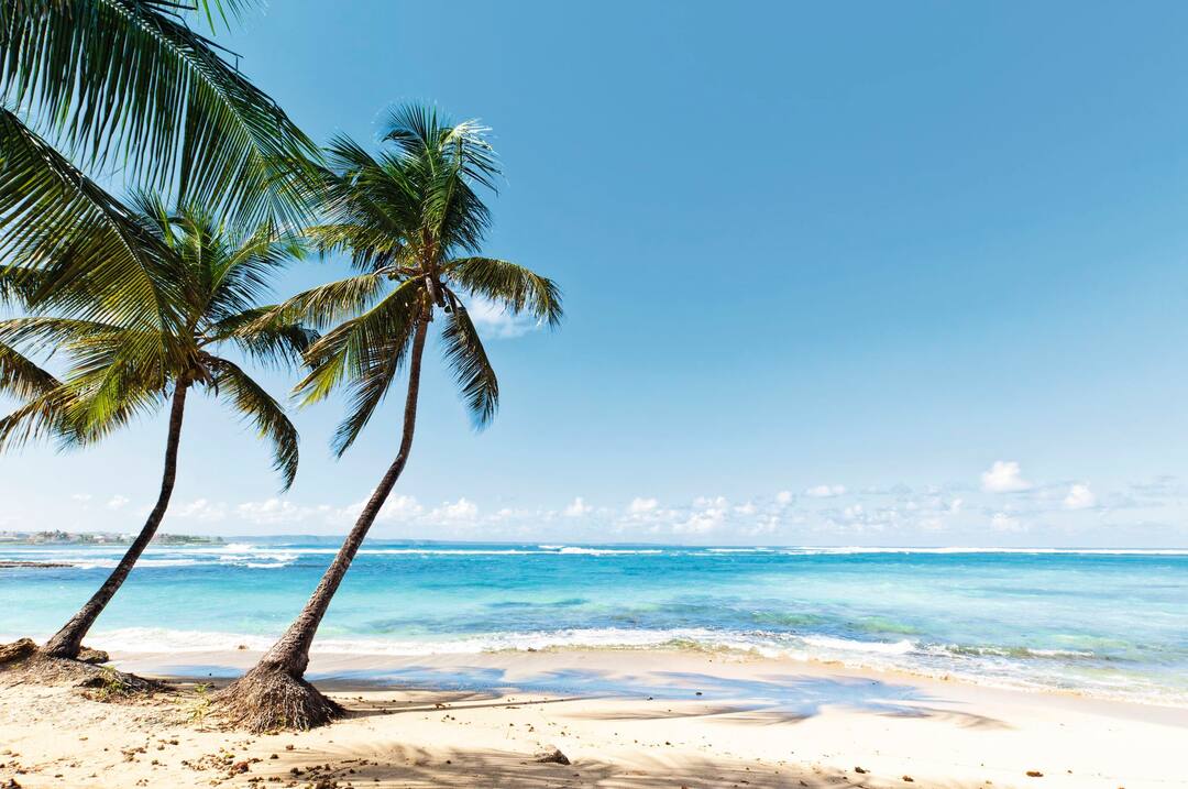 Le Moule, Guadeloupe