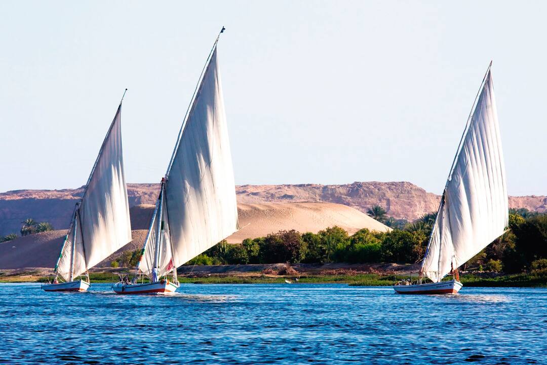 Faluccas, Luxor, Egypt