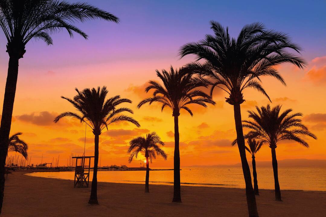 Palma, Majorca