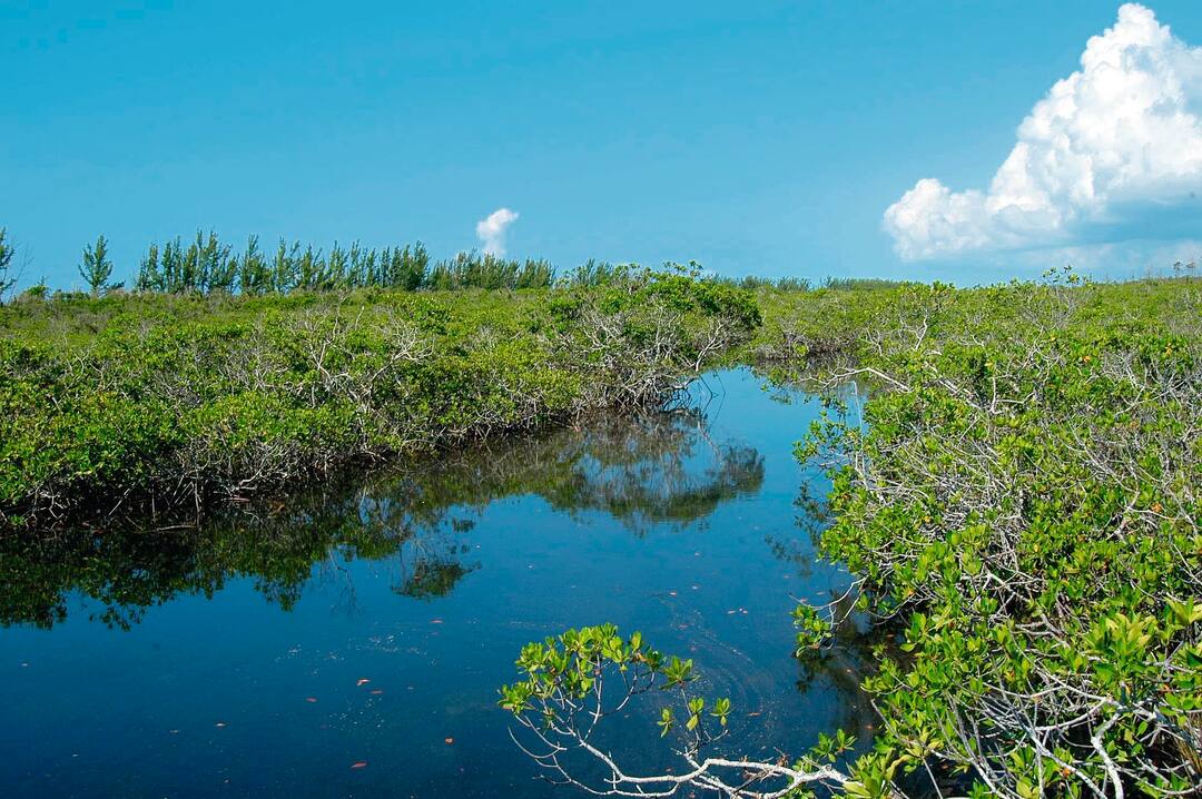 Lucayan National Park, Bahamas