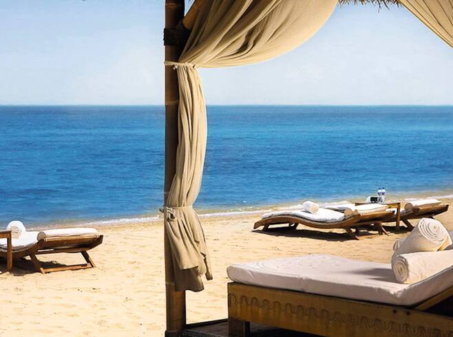 tui magic life jacaranda in side tui