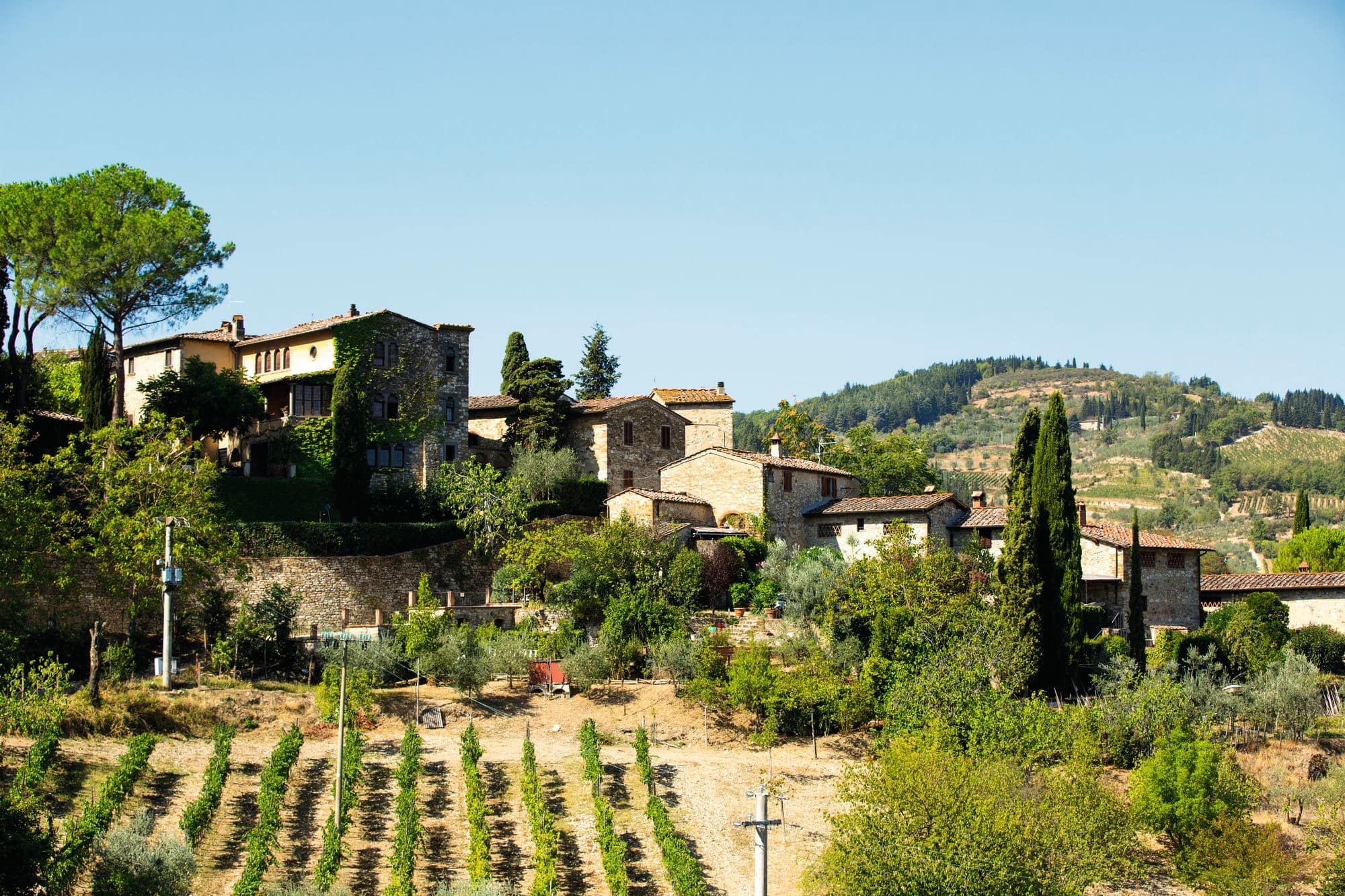 Houses and a vineyard in the Tuscany countryside.