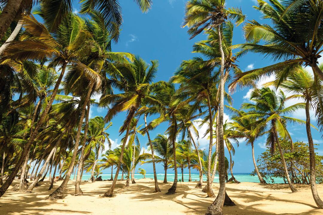 Dominican Republic 2025 Holidays