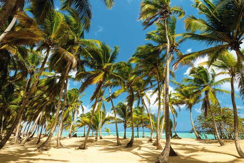 Last Minute Holidays To Dominican Republic 2021 2022 Tui Co Uk