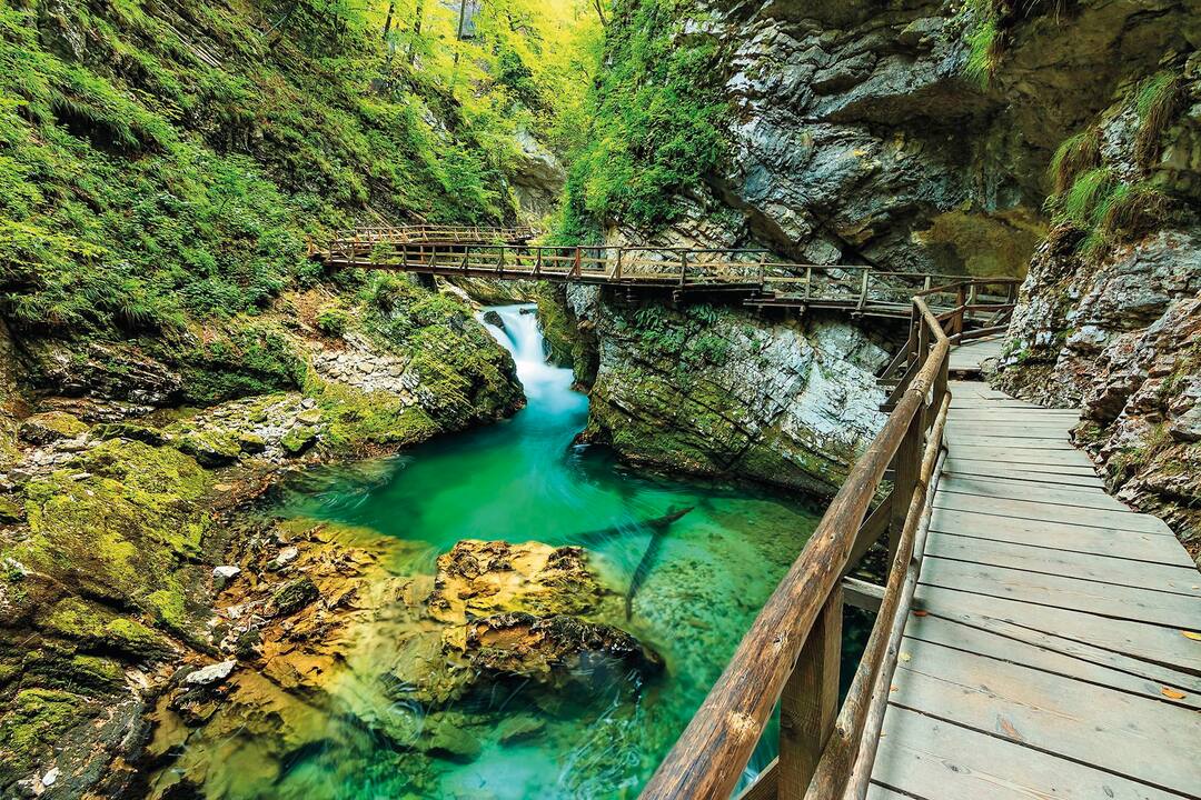 Bohinj, Slovenia