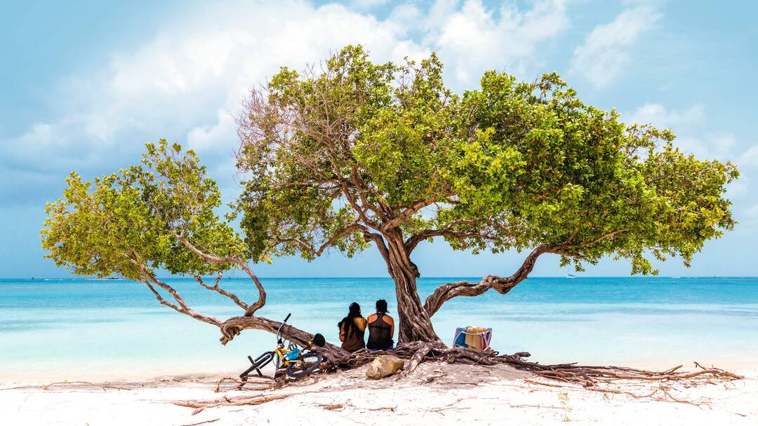 Aruba