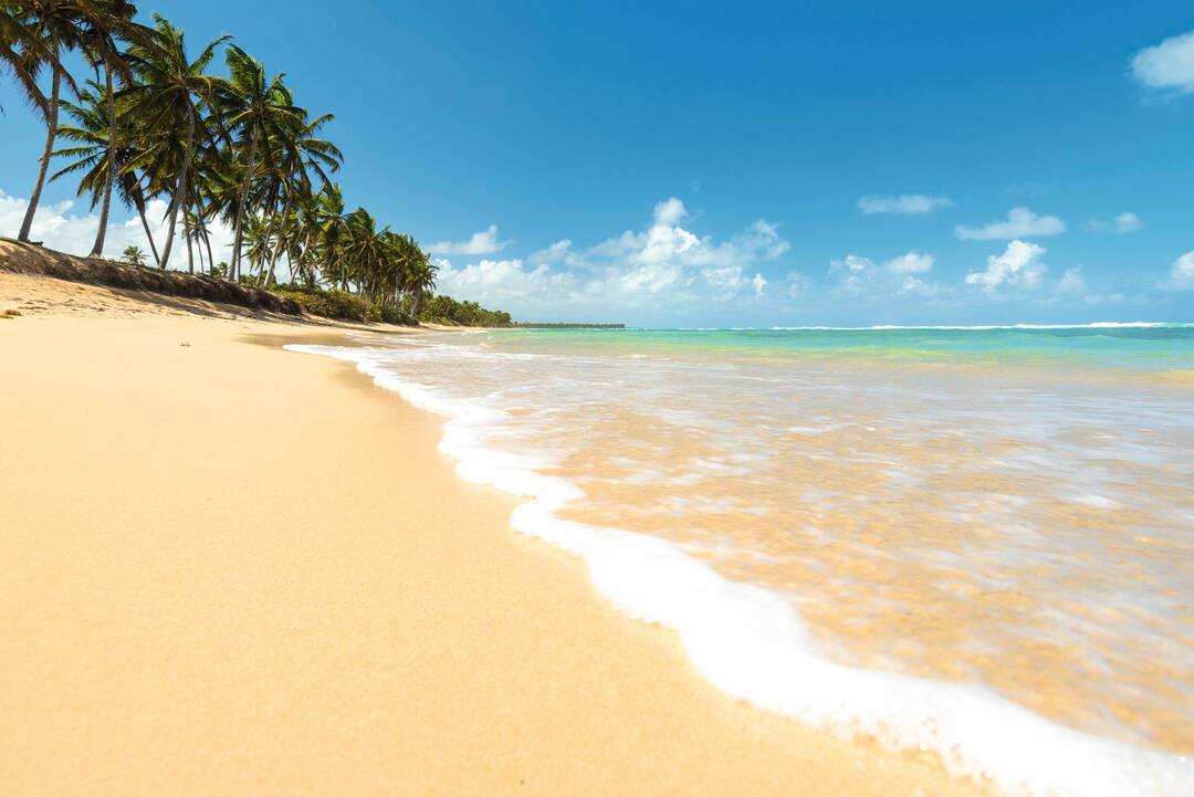 Things to do in Dominican Republic  TUI.co.uk