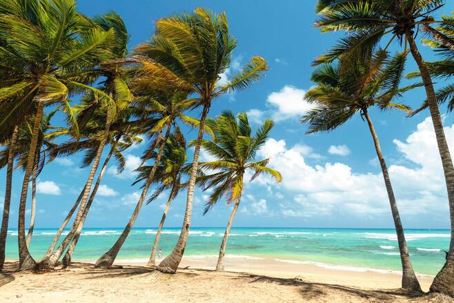 Punta Cana Holidays 2019 2020 Tui Was Thomson