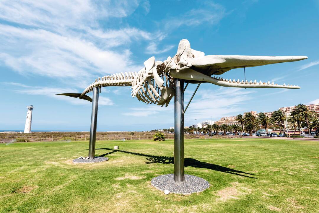 Jandia, Fuerteventura
