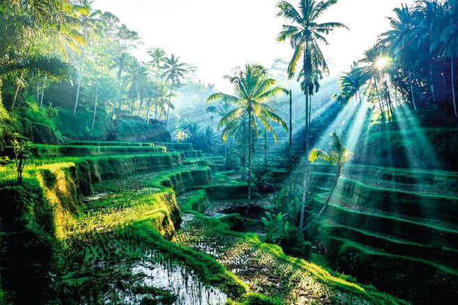 Bali Holidays 2020 2021 TUI co uk Bali Holidays 2020 2021 TUI co uk