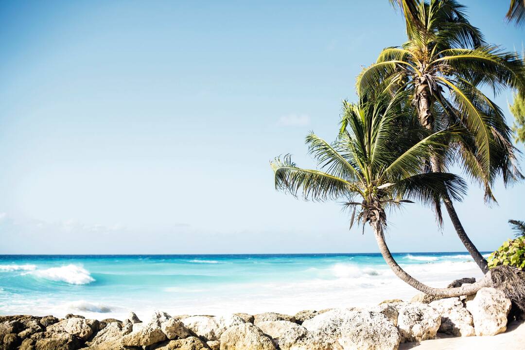 Barbados Holidays | 2022 / 2023 | FirstChoice.co.uk