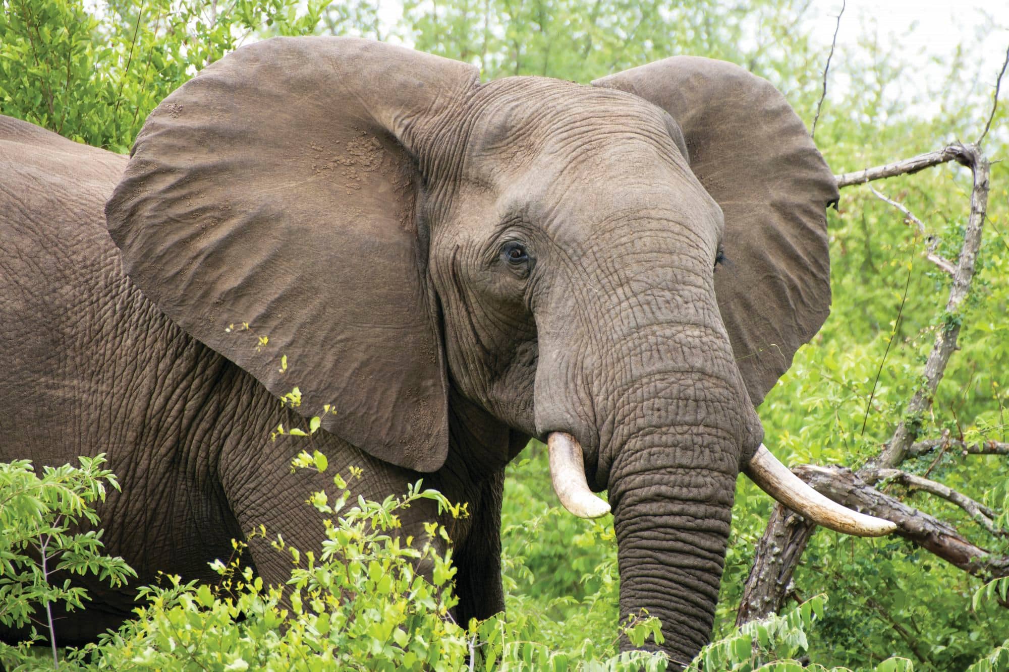 Image used for illustrative purposes only